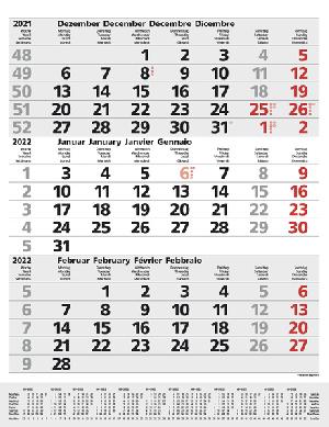 Kalendertipp: 3-Monats-Planer Comfort Grau 2022