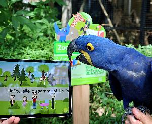 Per App Interessantes über Tierarten erfahren