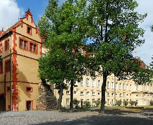 Führung durch Ausstellungen im Pfinzgaumuseum Karlsruhe