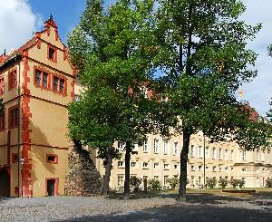 Zwei Führungen im Pfinzgaumuseum Karlsruhe
