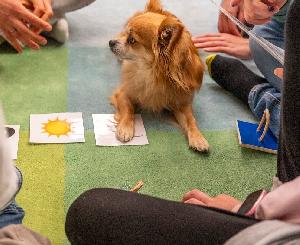 Lesenlernen mit Capper am bundesweiten Vorlesetag